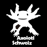 (c) Axolotl-schweiz.ch